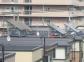 札幌市南区藤野　Ｋ様邸　 三菱太陽光発電システム3.74ｋｗ